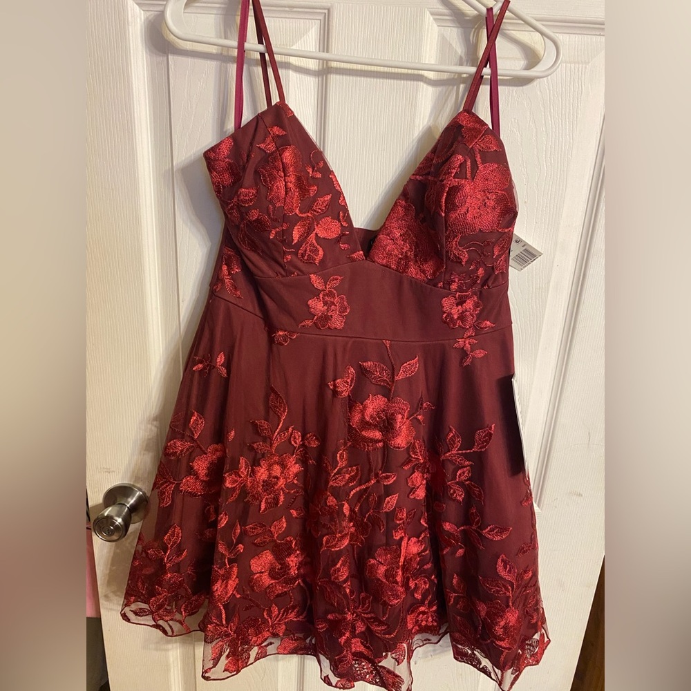 NWT Trixi dress